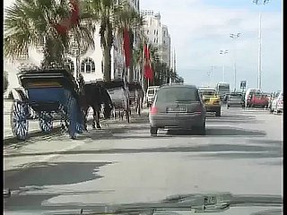 Liberi down Tunisie