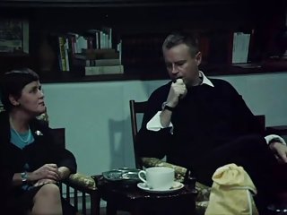 स्वीडिश विवाह मैनुअल (1969)